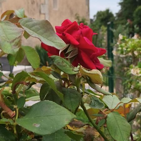 Gite Aux Vieux Bois Lunas  Екстериор снимка