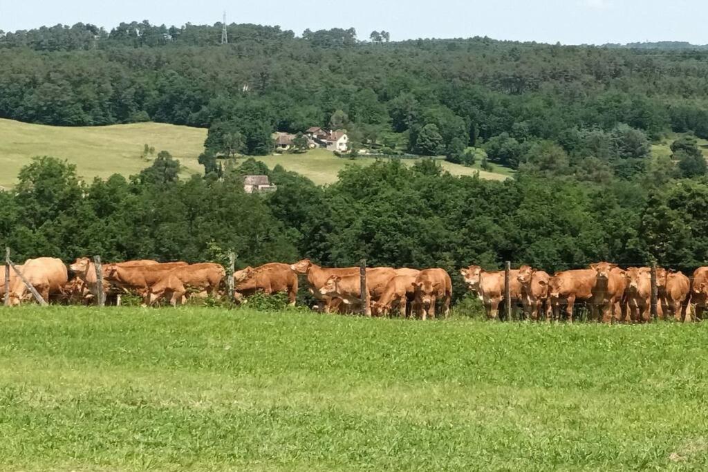 Gite Aux Vieux Bois Lunas  Екстериор снимка